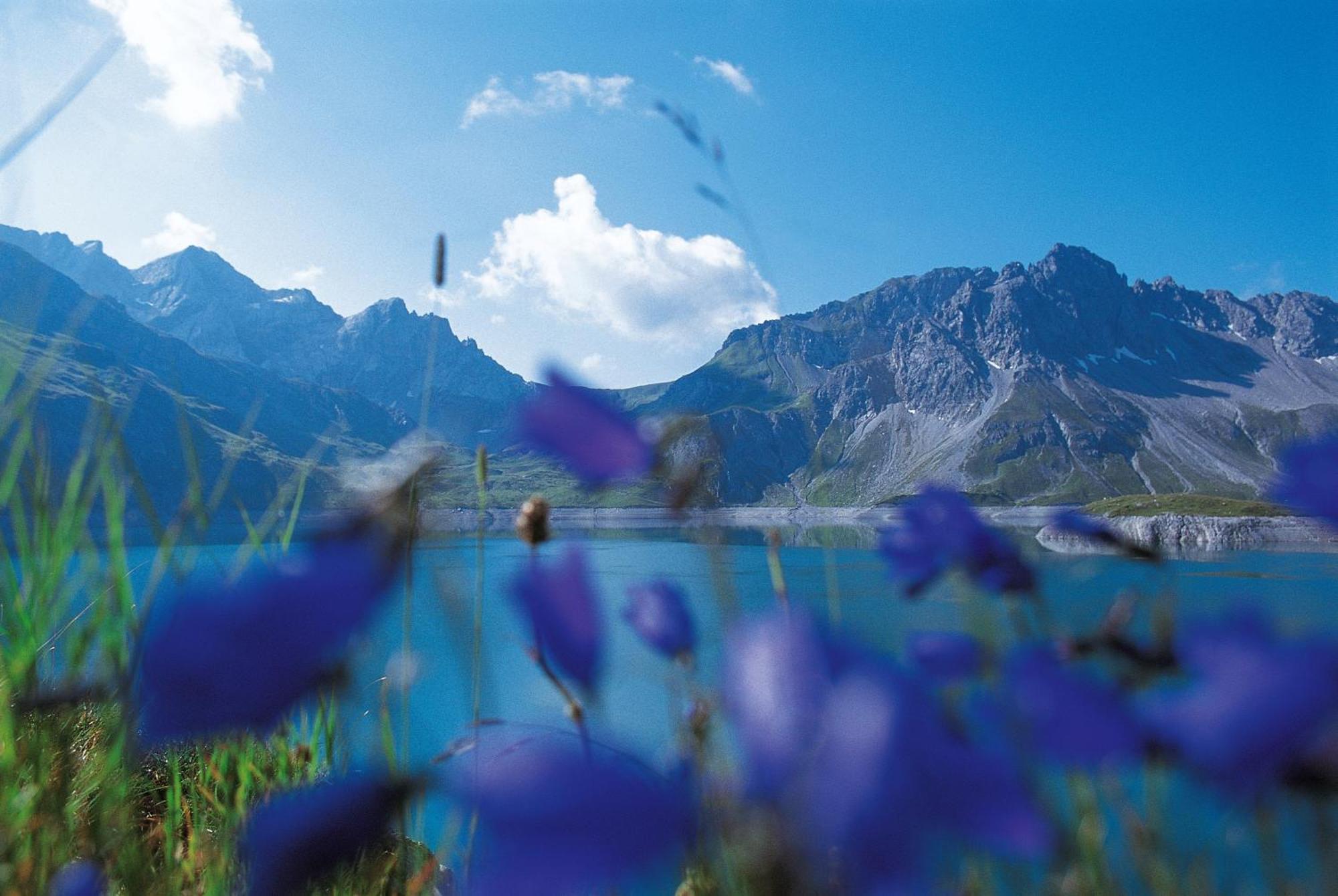 Appartamento Montanara
